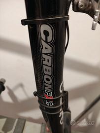 Bici olmo