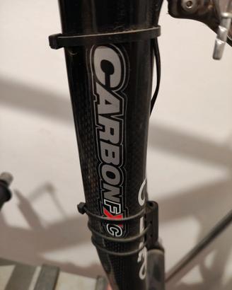 Bici olmo