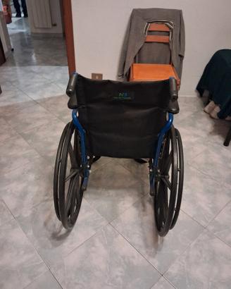 sedia a rotelle