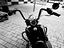 Immagine 13