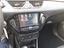 Immagine 15