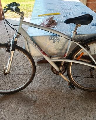 Bicicletta