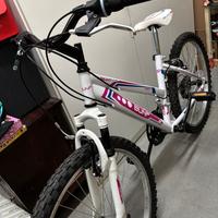 Mountain bike ragazza ruote 24