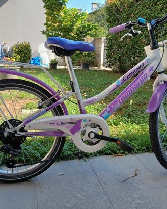 Una bicicletta con ruote da 20 pollici  seminuova