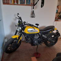 Ducati scrambler icon 800 2015