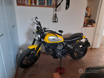 Ducati scrambler icon 800 2015