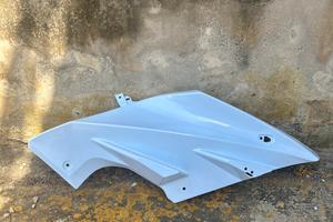 Carene yamaha r125 2010