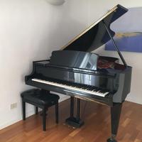 Bosendorfer 200cm Pianoforte