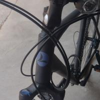 Bici ibrida lombardo Amantea 300