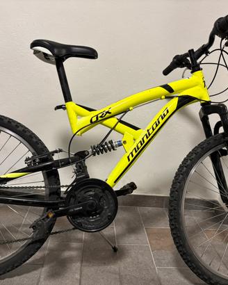 Bicicletta ragazzo