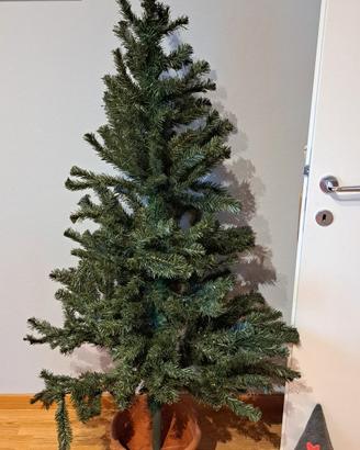 Albero di Natale