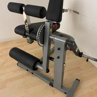 Leg extension leg curl