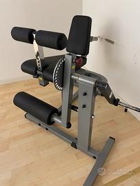 Leg extension leg curl