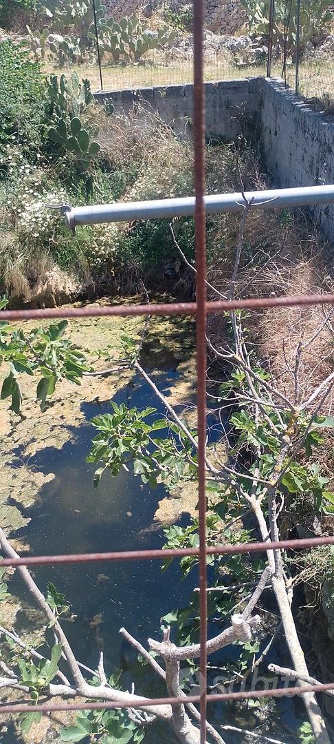 Terreno con fabbricato - Vista 4