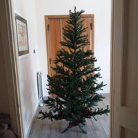 Albero di Natale 200 CM.