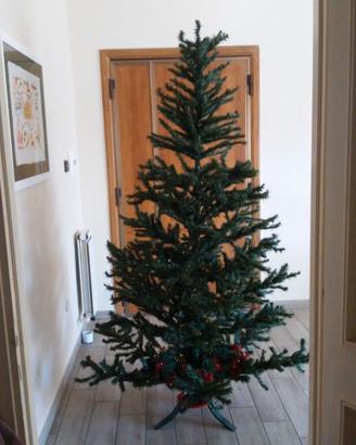 Albero di Natale 200 CM.