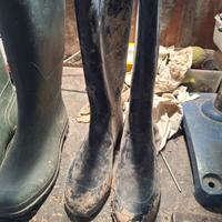 Stivali in gomma