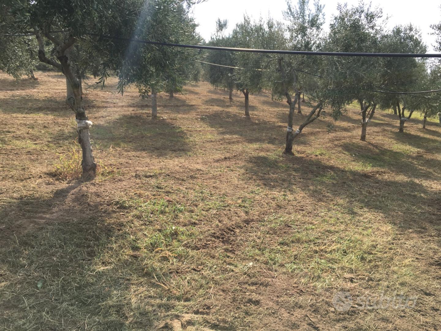 Terreno rustico - Vista 3