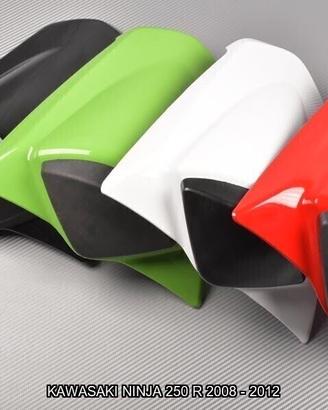 Unghia monoposto KAWASAKI NINJA 250 R 2008 - 2012