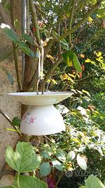 Mangiatoia per uccelli con tazza