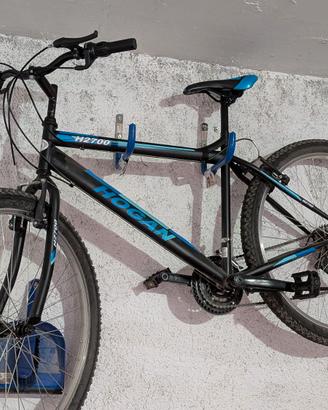 bicicletta