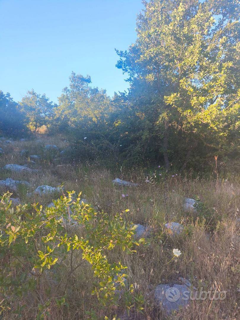 Terreno Fondo Rustico 4300 mq - Altro