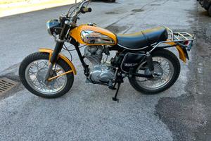 Ducati Scrambler