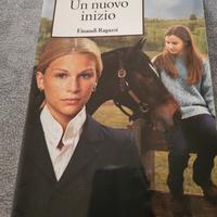 un nuovo inizio heartland l. Brooke 
