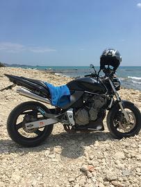 Honda hornet