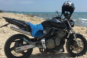 Honda hornet