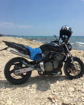 Honda hornet