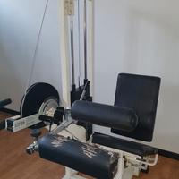 Sitting Leg Curl R.o.m Technogym