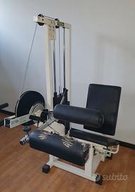 Sitting Leg Curl R.o.m Technogym