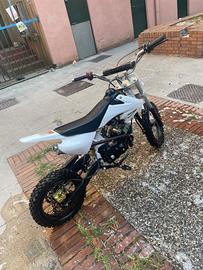 Azel Sweet 50 - 2019