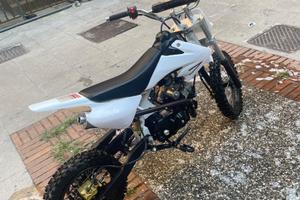 Azel Sweet 50 - 2019