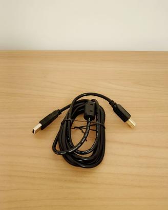 Cavo USB A - USB B 2 metri