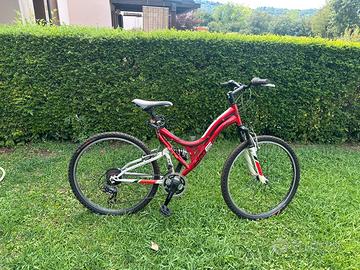 Mountain Bike KM6 Tecnobike
