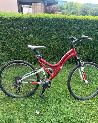 Mountain Bike KM6 Tecnobike