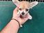 Immagine 5