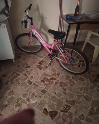 Bicicletta rosa