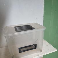 Terrario in plastica per piccoli rettili