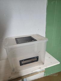 Terrario in plastica per piccoli rettili