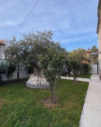 Villa di 317 m² con più di 5 locali e box auto dop