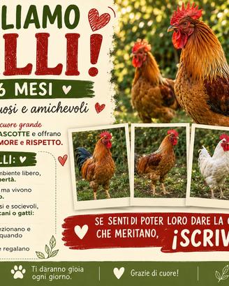 Galli di 6 mesi