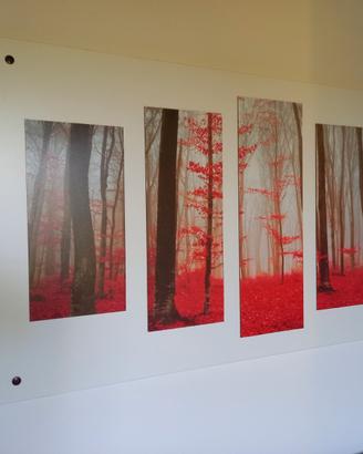 Quadro alberi