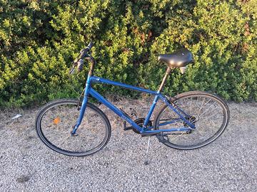 Bici Marin Larkspur CS2