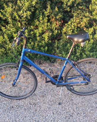Bici Marin Larkspur CS2