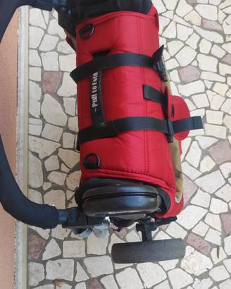 passeggino bambini 