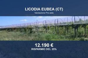 Immobile in asta di 15000 m² a Licodia Eubea