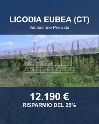 Immobile in asta di 15000 m² a Licodia Eubea